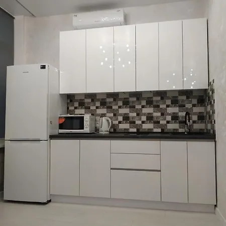 Apartment 1 ком/квартира аркадия